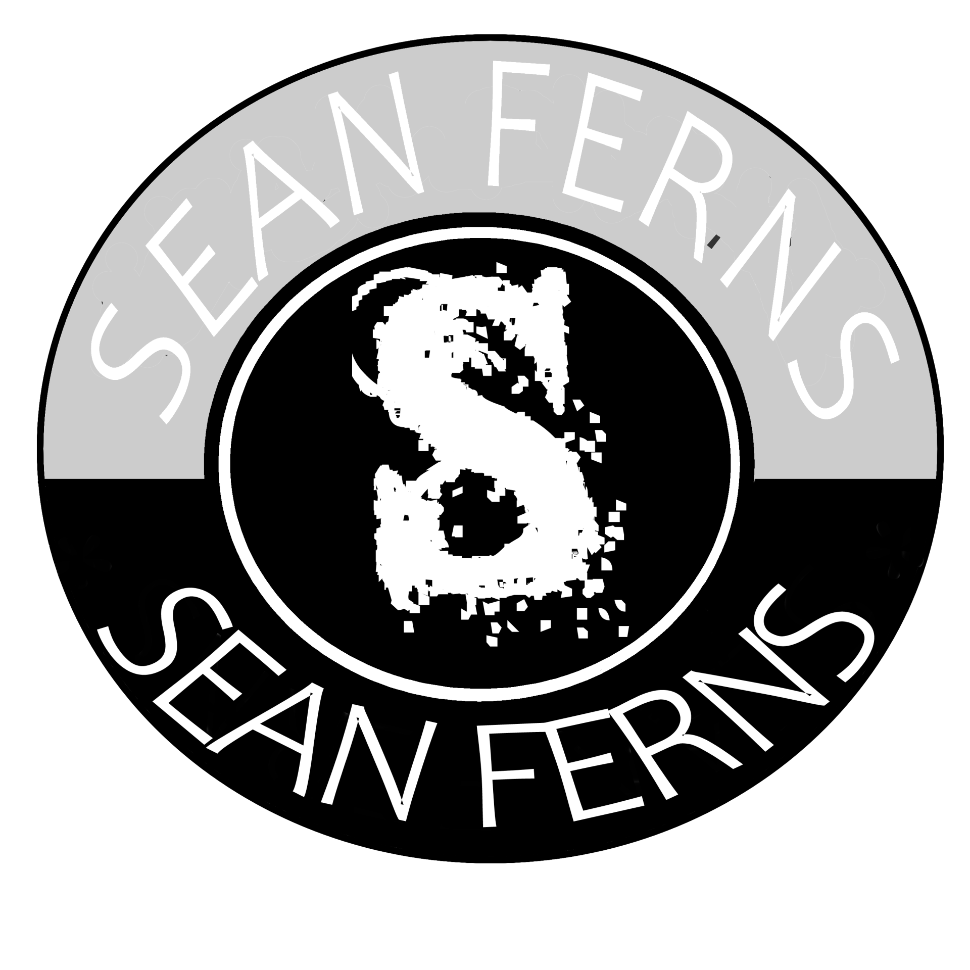 Sean Ferns - WordPress Manager
